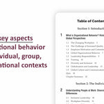 Organizational Behavior Essentials You Always Wanted To Know (2nd Edition)