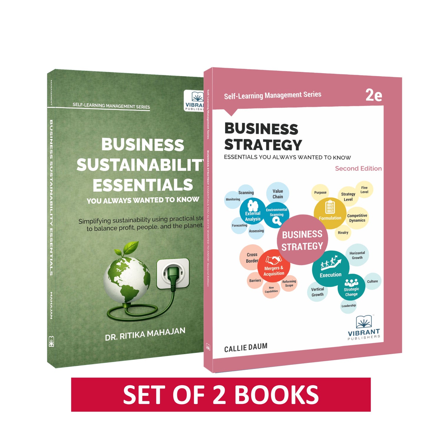 Business Sustainability and Strategy Essentials